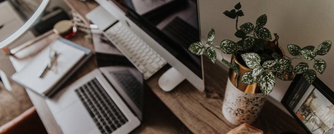 Los tipos de seguros laborales para empleados
