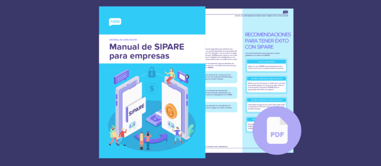 Manual de SIPARE para empresas en PDF