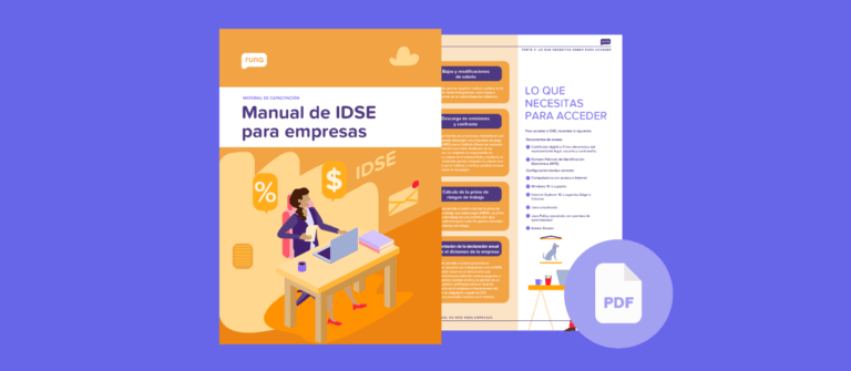 Manual de IDSE para empresas en PDF