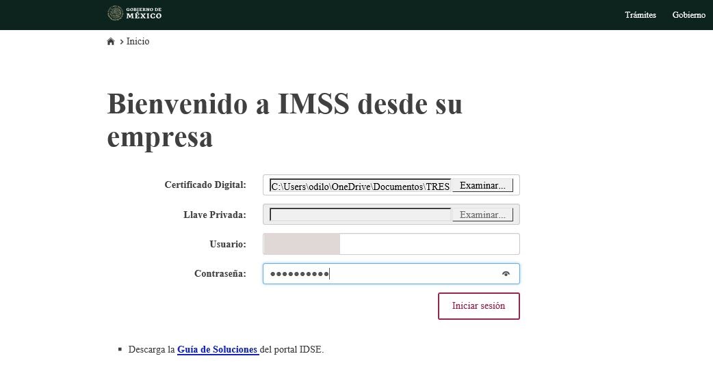 alta empresa IMSS