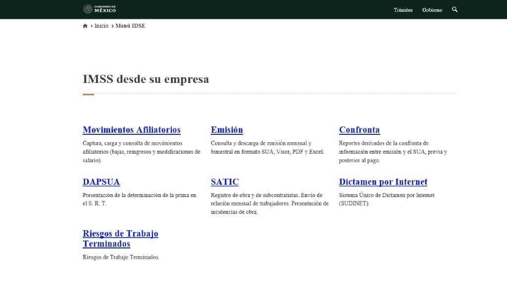 alta empresa IMSS