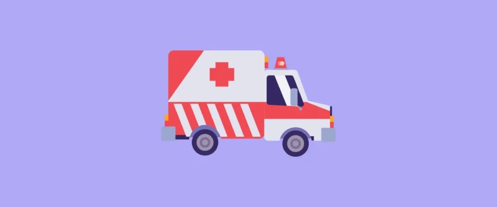 Calamidad doméstica