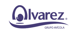 alvarez_mor-1