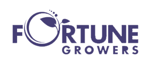 fortune_mor