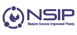 nsip_mor